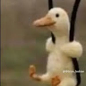 Meet your Posher, Carson